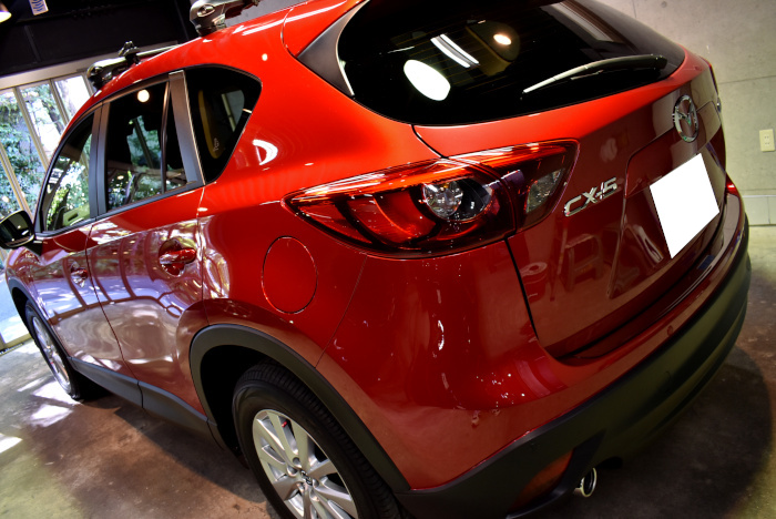 CX-5-6